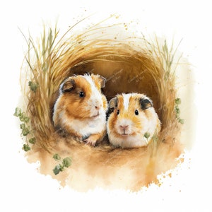 Clipart de cobayes dans une tanière, image aquarelle, téléchargement numérique instantané, JPEG JPG de haute qualité, sublimation, art mural, usage commercial