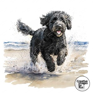 Clipart Labradoodle chien noir, image de plage aquarelle, téléchargement numérique instantané, JPEG JPG de haute qualité, sublimation, art mural, usage commercial