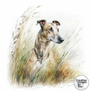 Imágenes prediseñadas de perro galgo, hermosa imagen de acuarela, descarga digital instantánea, JPEG JPG de alta calidad, sublimación, arte de pared, uso comercial