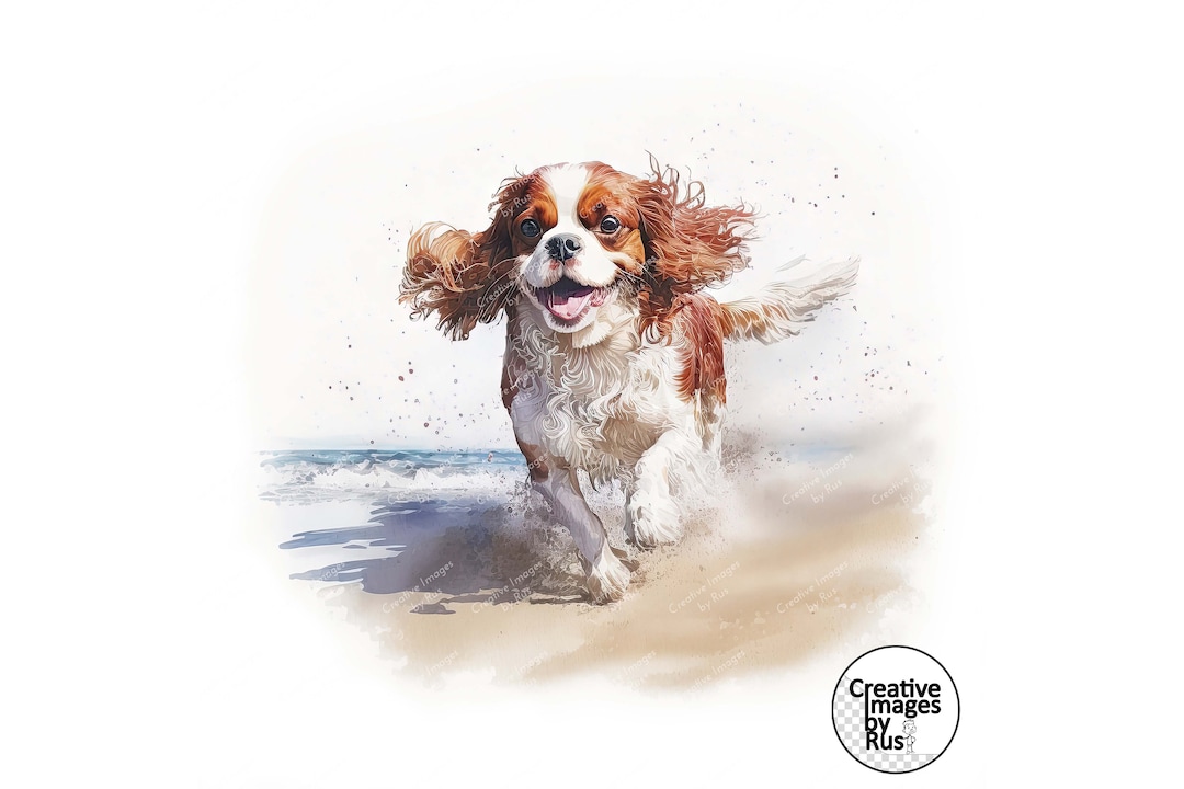 Cavalier King Charles Spaniel Blenheim Dog Clipart, Watercolour Image ...