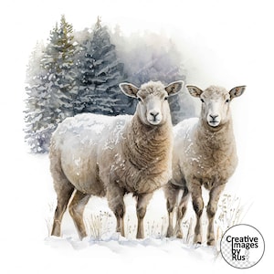 Clipart mouton, image hivernale aquarelle, téléchargement numérique instantané, haute qualité JPEG JPG, sublimation, art mural, usage commercial, campagne