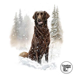 Puede incluir: Un perro marrón con el pecho blanco se encuentra en un bosque nevado. El perro mira hacia la izquierda de la imagen. Los árboles están cubiertos de nieve y hay una ligera nevada.