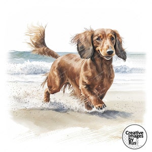 Dachshund Long Haired Dog Clipart, Watercolour Image, Instant Digital Download, High Quality JPEG JPG, Sublimation, Wall Art, Commercial Use