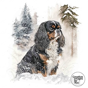 Cavalier King Charles Spaniel Dog Clipart, imagem de inverno em aquarela, download digital instantâneo, JPEG JPG, sublimação, arte de parede, uso comercial