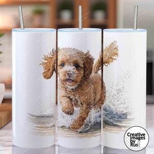 Cavapoo Apricot Dog Beach Clipart, Watercolour Image, Instant Digital ...