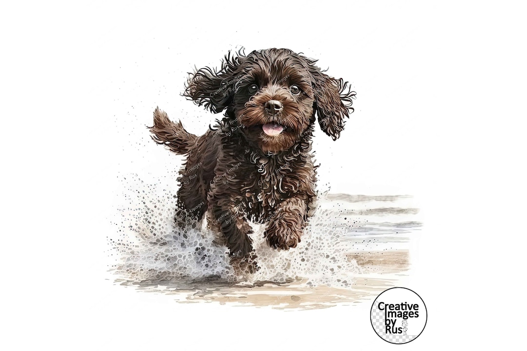 Cavapoo Chocolate Brown Dog Beach Clipart, Watercolour Image, Instant ...