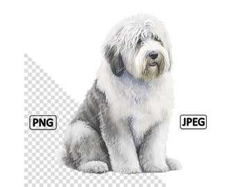 Old English Sheepdog Clipart, Watercolour Image, Instant Digital Download,  HQuality PNG & JPEG JPG, Sublimation, Wall Art, Commercial Use