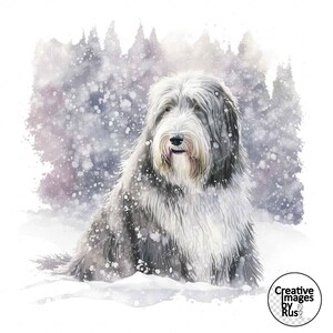 Bearded Collie Dog clipart, aquarel winterbeeld, instant digitale download, hoge kwaliteit JPEG JPG, sublimatie, kunst aan de muur, commercieel gebruik