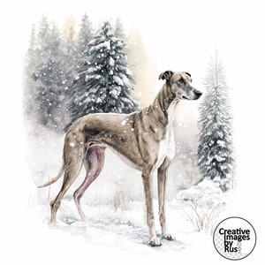Clipart cane levriero, immagine invernale ad acquerello, download digitale istantaneo, JPG JPEG di alta qualità, sublimazione, arte, uso commerciale