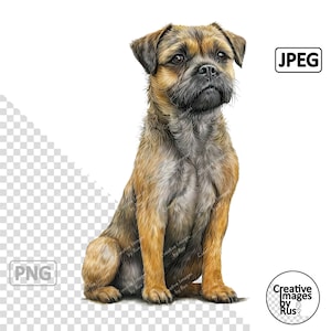 May include: A brown and gray Border Terrier dog sitting with its head tilted to the side. The dog has a short, wiry coat and a black nose.
