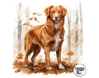 Nova Scotia Retriever Dog Clipart, Watercolour Autumn Image, Instant Digital Download, JPEG JPG, Sublimation, Art, Commercial Use, Leaves
