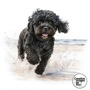 Cavapoo Schwarzer Hund Strand Clipart, Aquarell Bild, Sofortiger digitaler Download, hochwertige JPEG JPG, Sublimation, Wandkunst, kommerzielle Nutzung