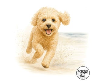 Maltipoo Apricot Dog Beach Clipart, Watercolour Image, Instant Digital Download, High Quality JPEG JPG, Sublimation, Wall Art,Commercial Use