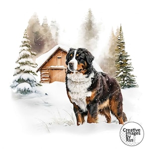Berner Sennenhund Clipart, Aquarell Winterbild, sofortiger digitaler Download, hochwertige JPEG JPG, Sublimation, Wandkunst, kommerzielle Nutzung