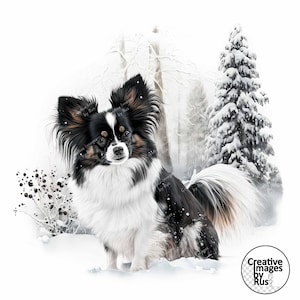 Papillon Dog Clipart, Imagen de invierno de acuarela, Descarga digital instantánea, Calidad JPEG JPG, Sublimación, Arte de pared, Uso comercial