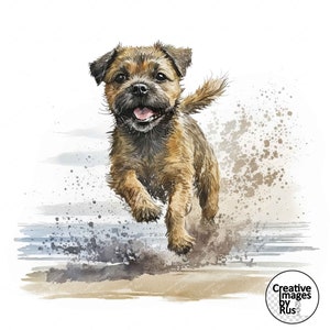 Border Terrier Dog Clipart, Akwarela Beach Image, Natychmiastowe pobieranie cyfrowe, Wysokiej jakości JPEG JPG, Sublimacja, Sztuka ścienna, Wykorzystanie komercyjne