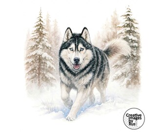 Siberian Husky Dog Clipart, Watercolour Winter Image, Instant Digital Download, High Quality JPEG JPG, Sublimation, Wall Art, Commercial Use