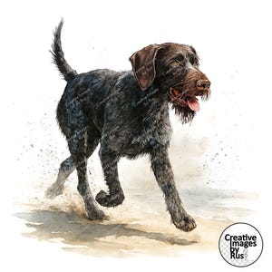 May include: A watercolour illustration of a running dog with dark brown and grey fur. The dog has brown ears and a pink tongue. The background is white with light brown and grey watercolour splashes. The dog is running towards the right.