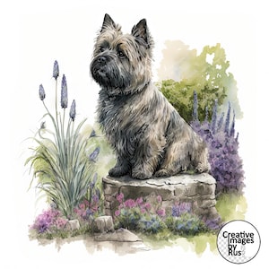 Cairn Terrier Dog Clipart, Imagen de jardín de acuarela, Descarga digital instantánea, JPEG JPG de alta calidad, Sublimación, Arte de pared, Uso comercial