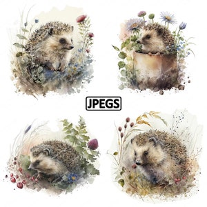 Clipart de jardim de ouriço fofo, imagem em aquarela, download digital instantâneo, JPEG JPG de alta qualidade, sublimação, arte de parede, uso comercial