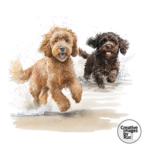 Pode incluir: Dois cães poodle, um marrom e outro dourado, correndo em uma praia de areia com espuma branca. Os cães estão olhando para a câmera e têm expressões felizes.