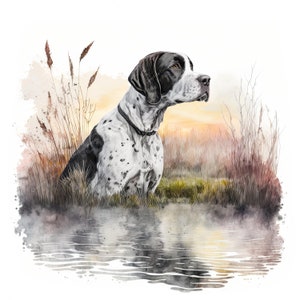 May include: A black and white German Shorthaired Pointer dog sits in a grassy field with a pond in the foreground. The dog is looking to the right of the image, with its head tilted slightly. The background is a watercolour wash of orange and yellow.