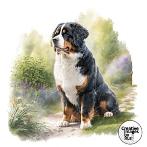 Berner Sennenhund Clipart, Aquarell Blumenbild, sofortiger digitaler Download, hochwertige JPEG JPG, Sublimation, Kunst, kommerzielle Nutzung