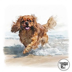 Clipart chien Cavalier King Charles Spaniel, image aquarelle, téléchargement numérique instantané, JPEG HQ, sublimation, art mural, usage Commercial