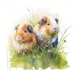 Clipart de cochons d'Inde sur une touffe d'herbe, image aquarelle, téléchargement numérique instantané, JPEG haute qualité, sublimation, art mural, usage Commercial