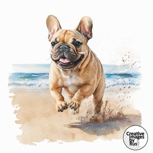 Clipart Bulldog francese cane da spiaggia, immagine acquerello, download digitale istantaneo, JPG JPEG di alta qualità, sublimazione, arte della parete, uso commerciale