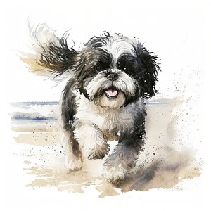 Shih Tzu B&W Beach Dog Clipart, image aquarelle, téléchargement numérique instantané, haute qualité JPEG JPG, sublimation, art mural, usage Commercial