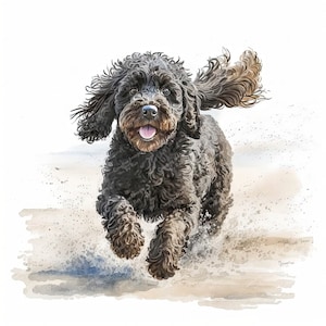 Cockapoo Schwarzer Hund Clipart, schönes Aquarellbild, sofortiger digitaler Download, hochwertige JPEG JPG, Sublimation, Wandkunst, kommerzielle Nutzung