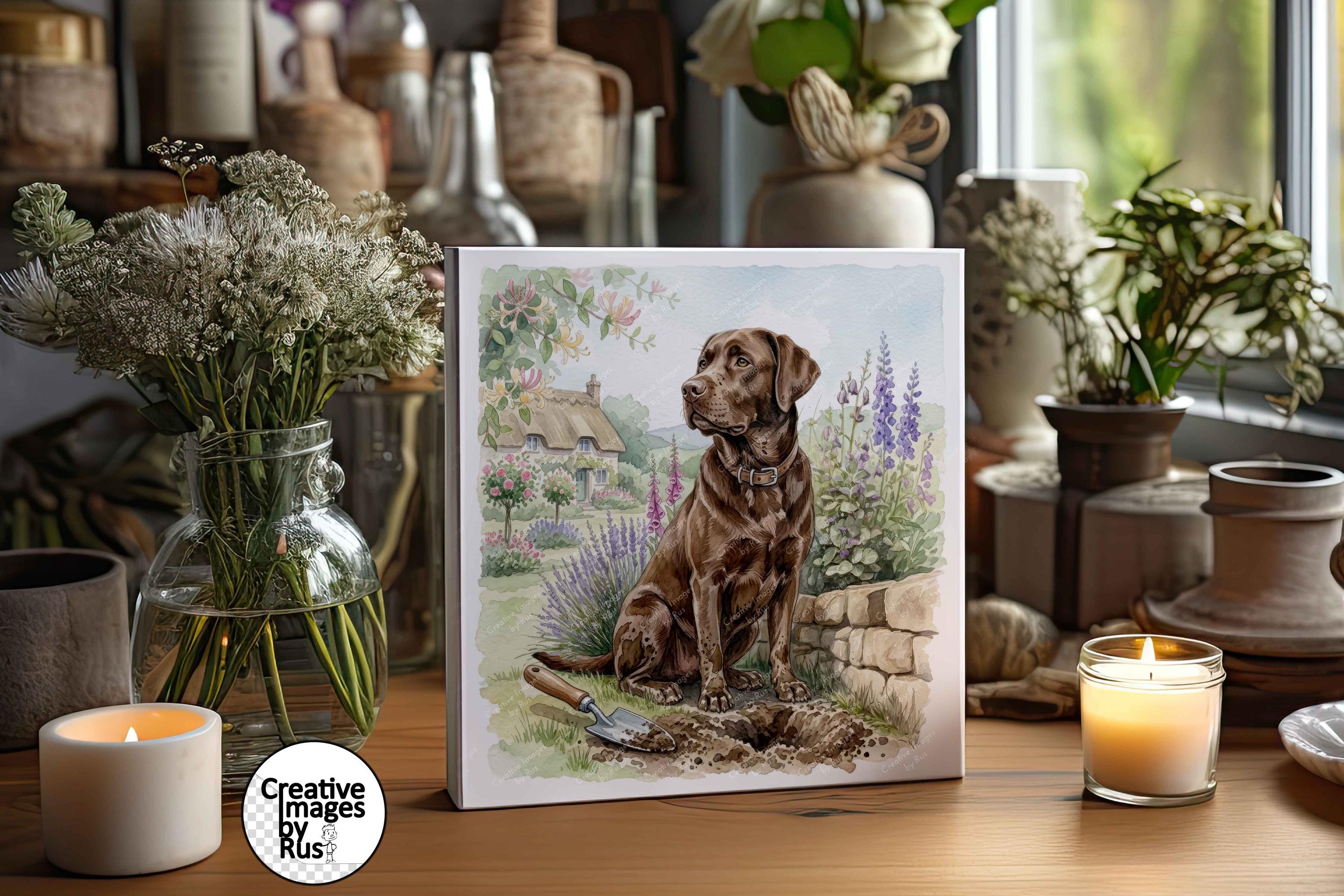 Chocolate Labrador Dog Clipart, Watercolour Image, Instant Digital ...