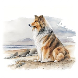 Könnte beinhalten: Ein Aquarellbild eines langhaarigen, sabel- und weißen Collie-Hundes, der auf einem Sandstrand sitzt. Der Hund schaut nach links, mit leicht geneigtem Kopf. Der Hintergrund ist ein Aquarell aus Blau und Grau, das einen bewölkten Himmel und eine ferne Küste suggeriert.