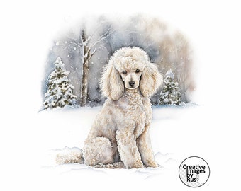 Poodle White Dog Clipart, Watercolour Winter Image, Instant Digital Download, High Quality JPEG JPG, Sublimation, Wall Art, Commercial Use