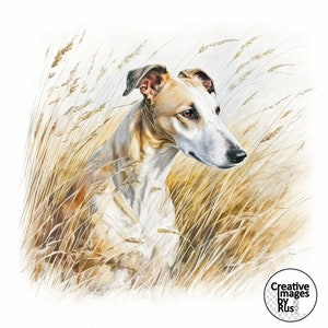 Clipart cane levriero, bella immagine ad acquerello, download digitale istantaneo, JPG JPEG di alta qualità, sublimazione, arte della parete, uso commerciale