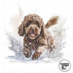 以下が含まれることがあります： 茶色と白の犬が舌を出して雪の中を走っています。犬はプードルミックスで、視聴者に向かって走っています。背景は白い水彩の塗りつぶしです。