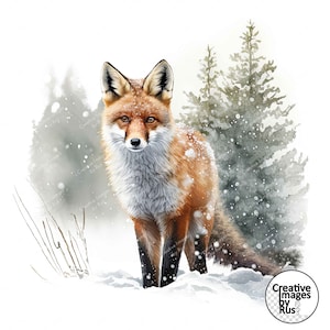 Clipart renard rouge, image hivernale aquarelle, téléchargement numérique instantané, JPEG JPG de haute qualité, sublimation, art mural, usage commercial, pays