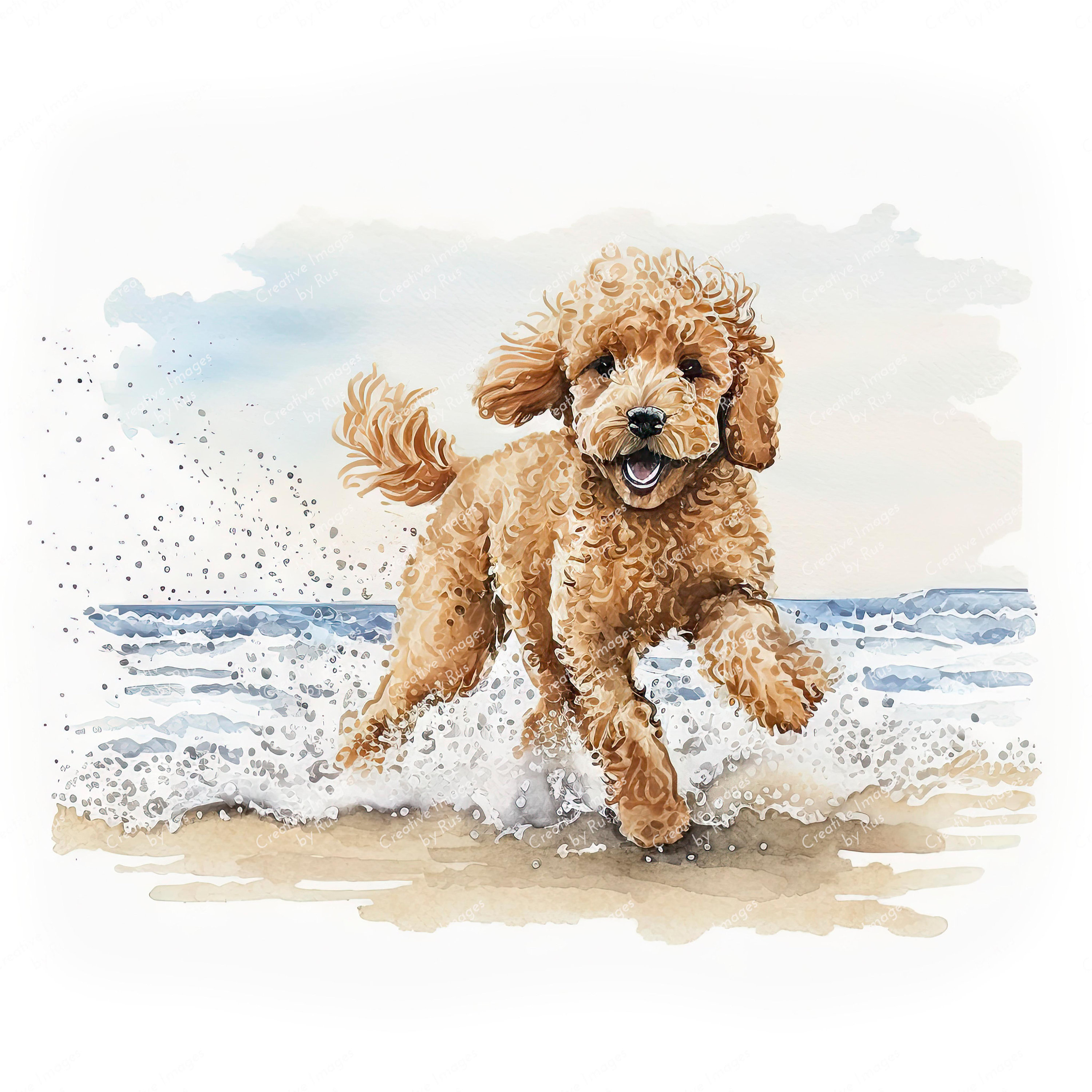 Apricot poodle - Etsy Österreich, image size:3000x3000