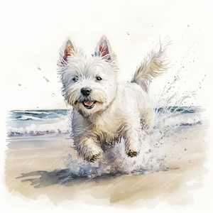West Highland White Terrier Hund Clipart, Aquarell Strandbild, sofortiger digitaler Download, JPEG JPG, Sublimation, Wandkunst, kommerzielle Nutzung