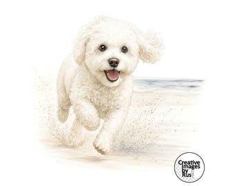Maltipoo White Dog Beach Clipart, Watercolour Image, Instant Digital Download, High Quality JPEG JPG, Sublimation, Wall Art, Commercial Use