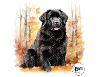 Newfoundland Dog Clipart, Watercolour Autumn Image, Instant Digital Download, JPEG JPG, Sublimation, Wall Art, Commercial Use, Leaves Newfie