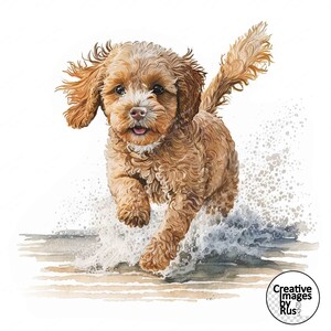 Könnte beinhalten: Ein Aquarellbild eines braunen und weißen Cockapoo-Welpen, der mit herausgestreckter Zunge durch Wasser rennt.