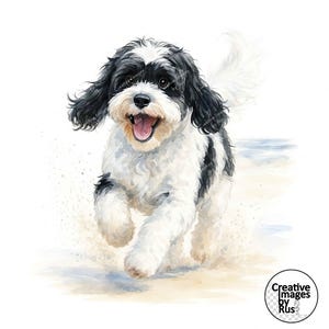 以下が含まれることがあります： 幸せそうに走る、白と黒の毛並みの犬の水彩画。犬は砂浜にいて、背景には海があります。犬の口は開いていて、舌が見えています。