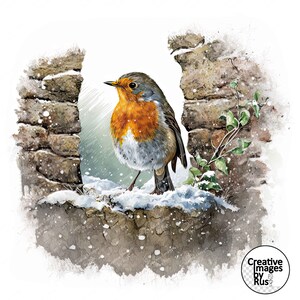 Clipart Robin, image hivernale aquarelle, téléchargement numérique instantané, haute qualité JPEG JPG, Noël, art mural, usage commercial, oiseau de la campagne