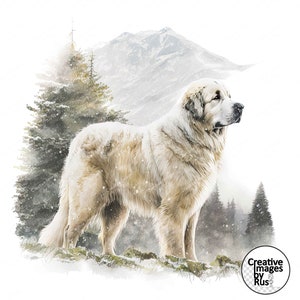 Pyrenäen Berghund Clipart, Aquarell Winter Bild, sofortiger digitaler Download, hochwertige JPEG JPG, Wandkunst, kommerzielle Nutzung, Weihnachten