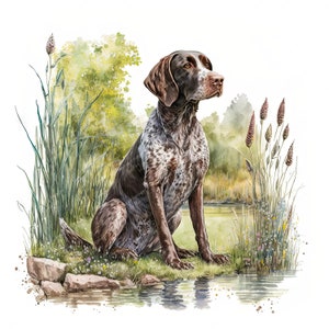 German Shorthaired Pointer Dog Clipart, Garden Watercolour Image, Instant Digital Download, JPEG JPG, Sublimation, Wall Art, Commercial Use