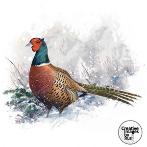 Clipart di uccelli fagiano, bella immagine ad acquerello, download digitale istantaneo, JPG JPEG di alta qualità, sublimazione, arte della parete, gioco per uso commerciale