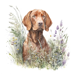 Ungarische Vizsla Clipart, Aquarell Hund Bild, sofortiger digitaler Download, hochwertige JPEG JPG, Sublimation, Wandkunst, kommerzielle Nutzung