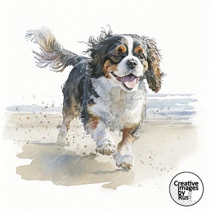 Cavalier King Charles Spaniel Tri Dog Clipart, imagem em aquarela, download digital instantâneo, HQ JPEG, sublimação, arte de parede, uso comercial